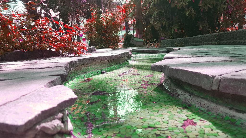 Hotel Terme Villa Piave Абано-Терме Экстерьер фото